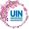 Universidad Insurgentes Clasificación 2025