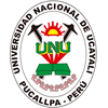 Universidad Nacional de Ucayali Clasificación 2025