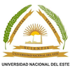 Universidad Nacional del Este Clasificación 2025