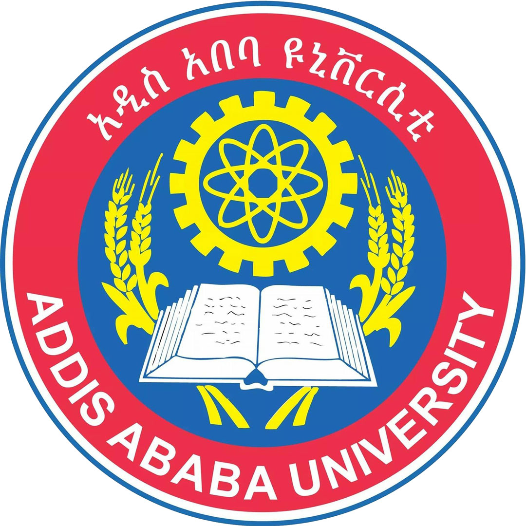 Instituto de Tecnología de Addis Abeba Clasificación 2025