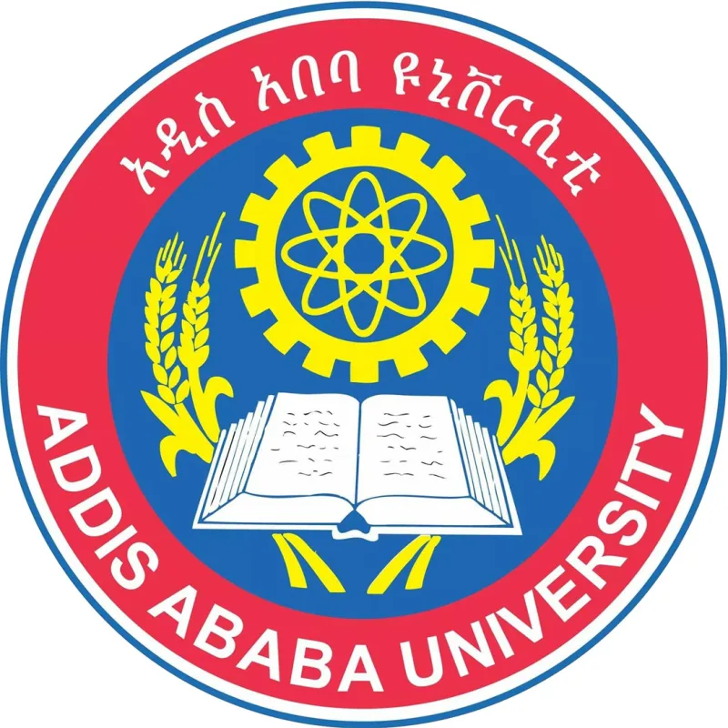 Instituto de Tecnología de Addis Abeba Clasificación 2026