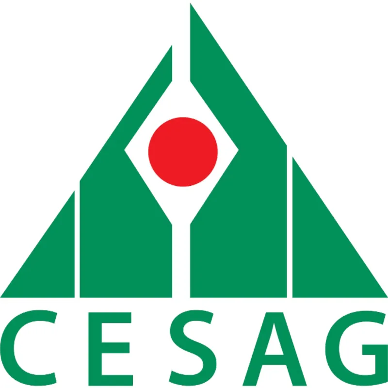 Centre africain d'études supérieures en gestion Sénégal Classement 2026